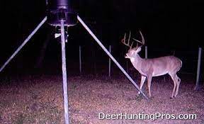 The small 50, 100 and 500 acre leases will be the easiest leases to find. Deer Hunting Lease In Cass County Texas