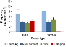 Check spelling or type a new query. Experimental Evidence Of Pollination In Marine Flowers By Invertebrate Fauna Nature Communications