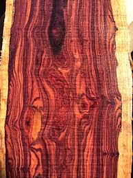 Image result for Dalbergia nitidula