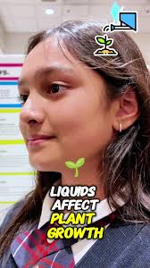 American Prep Academy