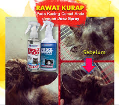 Ubat selsema kucing paling mujarab. Ubat Kurap Di Badan Kuching N