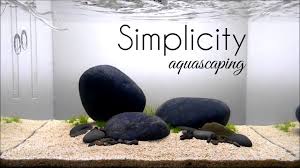 Note:in my next video i will talk about how i made the stones, why i replaced the lighting on the tank,problems with the project and mostly everything i did. Aquascaping Stonehenge Youtube