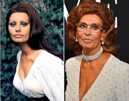 Sophia loren talks beauty, happiness and new touring act. Sophia Loren Then And Now Hollywood Celebrities Sophia Loren Movie Stars