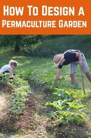 Design A Permaculture Garden The 12 Principles To Follow Permaculture Gardening Permaculture Permaculture Design Course