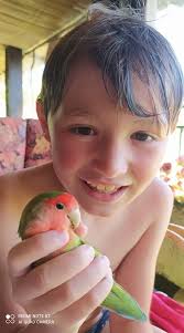 Peluso ha vuelto! Muchas gracias a todos por vuestra difusión y apoyo y  sobretodo al chico de la finca de al lado que lo ha encontrado!! Un millón  de gracias!!