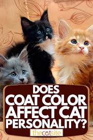 In some rodents, the white colour is associated with greater docility and increased tolerance of handling which may be why white mice and white rats are common laboratory animals. Does Coat Color Affect Cat Personality Thecatsite Articles