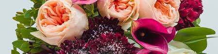 We did not find results for: Wedding Flowers Order Ahead Jewelosco