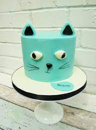 Cat Face Cake Cat Cake Cat Face Cat Costume Diy