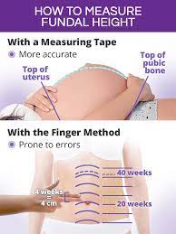 As it's not the most accurate measurement to. Pregnancy Belly And Fundal Height Shecares