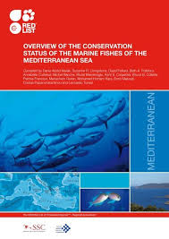 237 likes · 3 were here. Mediterranean Greenpeace