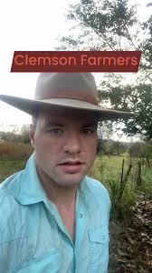 MISSOURI 31 MISS STATE 20