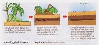 Sye sedang mempelajar bab 6 : Sains Bab6 Tingkatan 3