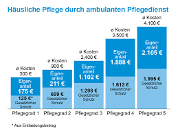 Pflegekosten Und Pflegefinanzierung Was Kostet Pflege