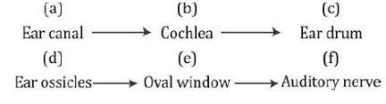 Correct The Mistakes And Rearrange The Given Flow Chart Of