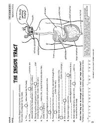 Science Worksheet Digestive System The Mailbox Digestive System Worksheet Human Body Worksheets Human Digestive System