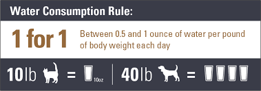 However, there are many factors that can affect how much your dog will drink, so you. How Much Water Should A 50 Lb Dog Drink Dogwalls