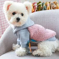 There is a long list of why dogs are such a wonderful companion to have, some of the reasons include their loyal nature, their loving disposition, and protective instincts. Cute Lamb Wool Korean Small Dog Coat Winter Warm Pet Clothes For Chihuahua Shih Tzu Sweatshirt Puppy Cat Pullover Dogs Pets Clothing Walmart Com