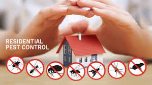 We know that no pest issues are alike. Allied Pest Control Pest Control Service In Fujairah