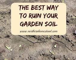 Tilling a garden before planting can allow for critical nutrients to settle in improving existing soil through tillage is best done in the fall season. To Till Or Not To Till The Garden Northern Homestead