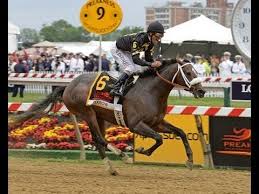 Preakness Trends Running Style Holds Key To Picking Top 3
