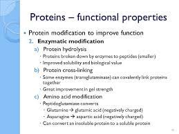 06/09/21 molecuar biology 6 play a crucial role in generating the heterogeneity in proteins. Proteins Ppt Download