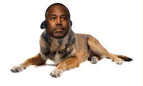 Ben Carson Compared Syrian Refugees To Rabid Dogs This Was My Photoshop Response Personal Protection Dog Dogs Dog Breeds