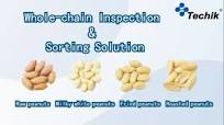 Techik Peanut Food X ray Inspection Equipment and Peanut Optical Sorting  Equipment