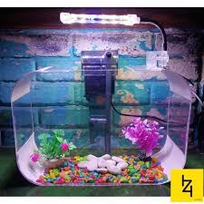 Cara membuat aquarium ikan cupang yang unik buatan sendiri cara membuat aquarium ikan cupang, itulah cara membuat aquarium unik ikan cupang yang bisa anda lakukan sendiri tanpa. Jual Akuarium Aquarium Unik Ikan Hias Ikan Cupang 00114 Kota Yogyakarta Izi Cell Tokopedia