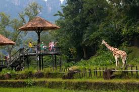 Inr 270 to children up to 12 years of age, and rm 21, i.e. Zoo Negara Admission Tickets Great Discounts At Wonderfly