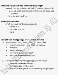 Manusia menjalani beberapa proses hidup untuk manusia kekal hidup di dunia bersandarkan kepada empat keperluan asas (air, udara, makanan, tempat perlindungan). Dharssan Dharssan Ddharssan Profile Pinterest