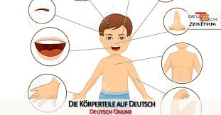 Learn about common illnesses, treatments, related terms with practice sentences. Exercises For A1 Level Germancenter St