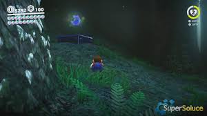 29 Scintillante Au Fond De La Foret Perdue Soluce Super Mario Odyssey Supersoluce