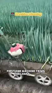This is one of the best technique in farming | Lee Yumi | Facebook
