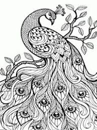 Volwassenen Vinden Kleuren Ook Leuk Bekijk Meer Dan 55 Uitdagende Kleurplaten Voor Volwassenen M Abstracte Kleurplaten Gratis Kleurplaten Mandala Kleurplaten