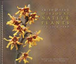 The missouri prairie foundation's growth initiative grow native! Tried And True Missouri Native Plants For Your Yard Barbara Fairchild 9781887247580 Amazon Com Books