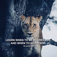 Discover More Top Motivational Quotes Guaranteed To Inspire You Inspiring Success Quotes Inspirational Animal Quotes Wildlife Quotes Top Motivational Quotes