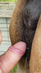 XHAMSTER Free Animal Porn Tube Videos. Bestiality and Zoo XXX by  XHAMSTER.COM
