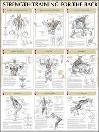 Back muscles are arranged in several layers, so they are divided into deep and superficial, which, in turn, are arranged in two layers. 9 Strength Training Workouts For The Back Muscle Anatomy