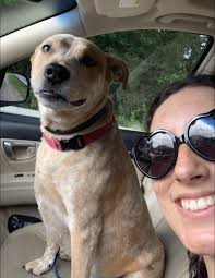 Find the Heeler 😉 ਪਰਤ ยมร้านน