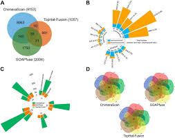 .pleural mesothelioma identifies recurrent mutations, gene fusions and splicing alterations. Frontiers Unraveling Gene Fusions For Drug Repositioning In High Risk Neuroblastoma Pharmacology