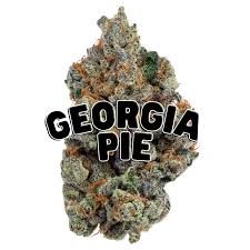 Georgia Pie 