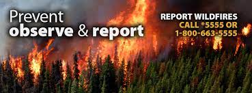 De bc wildfire service heeft vier soorten ploegen voor het onderdrukken van natuurbranden in de hele provincie. Bc Wildfire Service Home Facebook