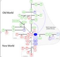 Image result for Sporobolus myrianthus