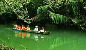 Terdapat 60 tempat wisata di kab serang. Wisata Rawa Dano Serang Banten