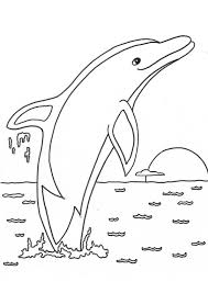 Heartsnail valentines coloring pages printable coloring page image for kids of all ages. Coloring Pages Printable Dolphin Coloring Sheet For Kids
