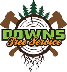 Check spelling or type a new query. Professional Tree Removal Trimming Land Clearing Services In Brentwood Tn Downs Tree Service