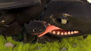 Pin By Thorunn Gisladottir On How To Train Your Dragon How Train Your Dragon How To Train Your Dragon How To Train Dragon
