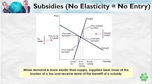 نتیجه جستجوی لغت [subsidy] در گوگل