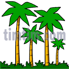 Cartoon Jungle Trees Drawings Free Image Palm trees often bring to mind images of bright, sandy if you liked this tutorial, see also the following drawing guides: cartoon jungle trees drawings free image
