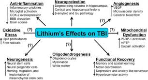 Both alcohol and lamictal can enhance each other's. Lithium Orotate Nootropics Expert